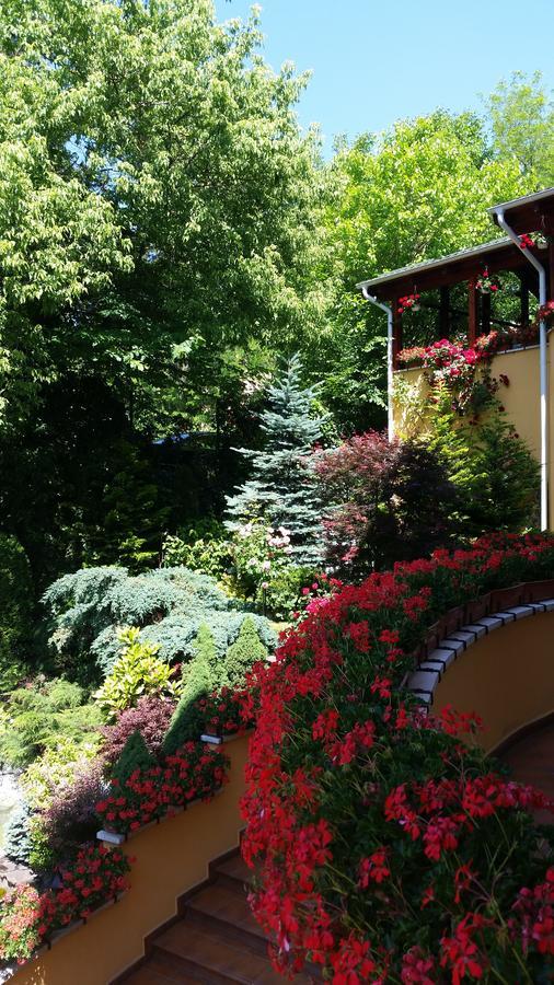 Pensiunea Europa Târgu-Mureş Exteriör bild
